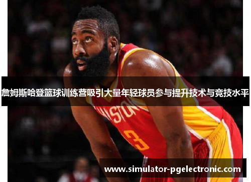 詹姆斯哈登篮球训练营吸引大量年轻球员参与提升技术与竞技水平