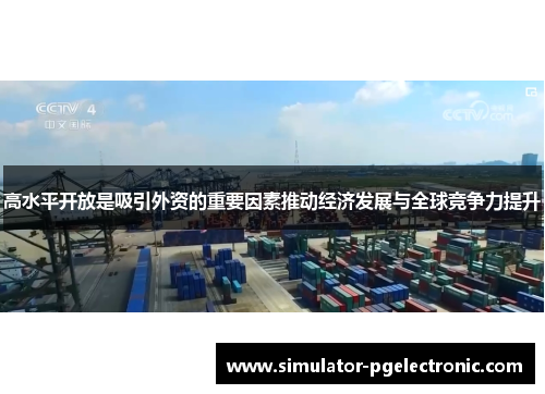 高水平开放是吸引外资的重要因素推动经济发展与全球竞争力提升