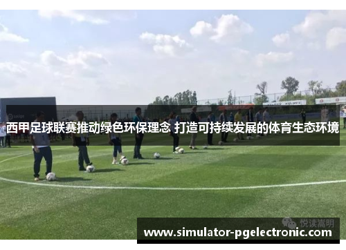 西甲足球联赛推动绿色环保理念 打造可持续发展的体育生态环境