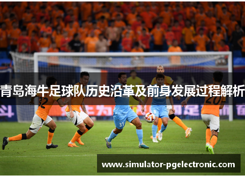 青岛海牛足球队历史沿革及前身发展过程解析