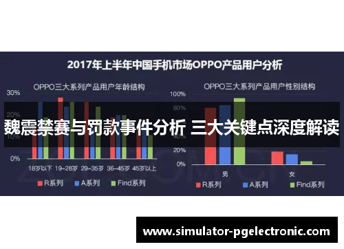 魏震禁赛与罚款事件分析 三大关键点深度解读