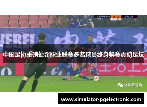 中国足协重磅处罚职业联赛多名球员终身禁赛震动足坛