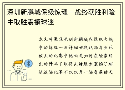 深圳新鹏城保级惊魂一战终获胜利险中取胜震撼球迷