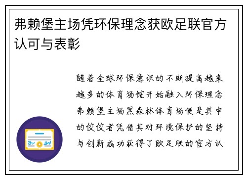 弗赖堡主场凭环保理念获欧足联官方认可与表彰